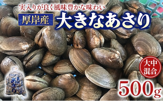 北海道 厚岸産 あさり 500g×1パック (合計500g) 大中混合 アサリ 魚貝 海 美味しい 栄養 旨み 砂出し 水洗い 冷蔵 冷凍保存可能 便利