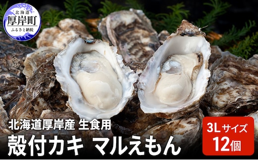 北海道厚岸産 生食用 殻付カキ 3Lサイズ 12個 マルえもん 魚貝類 海の幸 海のミルク 海鮮 国産 北海道産 オイスター つまみ お酒 あて 肴 生牡蠣 メルマガ掲載商品1