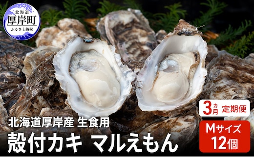 【 3ヵ月 定期便 】 北海道厚岸産 生食用 殻付カキ 3Lサイズ 12個 マルえもん 魚貝類 海の幸 海のミルク 海鮮 国産 北海道産 オイスター つまみ お酒 あて 肴 生牡蠣 メルマガ掲載商品1
