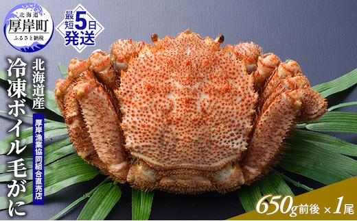 訳あり 3D冷凍 北海道産冷凍ボイル毛がに 650g前後×1尾 [ 毛カニ 蟹 毛ガニ カニ かに ] 