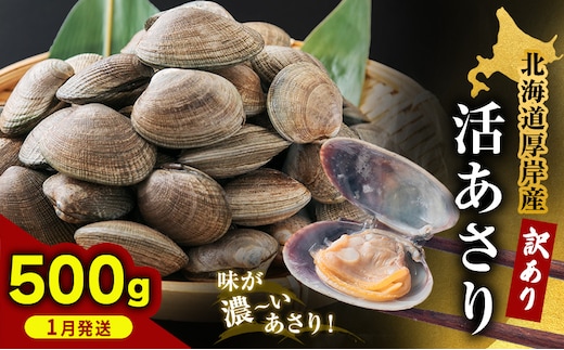 1月発送 北海道 厚岸産 訳あり 活あさり 500g アサリ 魚貝 海鮮 大粒 美味しい 栄養 旨み 砂出し 水洗い 冷蔵 冷凍保存可能 便利