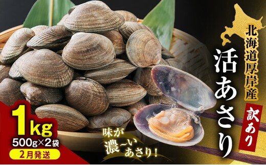 2月発送 北海道 厚岸産 訳あり 活あさり 500g×2 (合計1kg) アサリ 魚貝 海鮮 大粒 美味しい 栄養 旨み 砂出し 水洗い 冷蔵 冷凍保存可能 便利