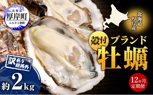 12ヵ月定期便 訳あり ハーフ 規格外 牡蠣 北海道厚岸産 殻付カキ 約2kg（11～25個）カキナイフ付 生食 魚貝類 生牡蠣 かき 生カキ カキフライ マルえもん いびつな形 四季によって違う味わい コクがあり濃厚