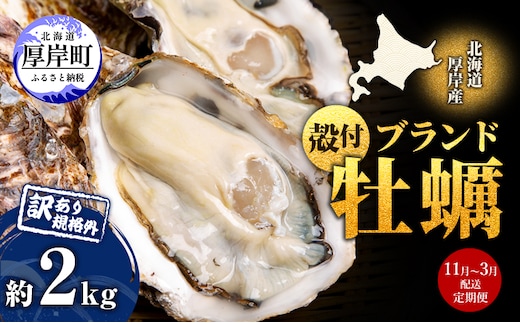 11月～3月 定期便 訳あり ハーフ 規格外 牡蠣 北海道厚岸産 殻付カキ 約2kg（11～25個）カキナイフ付 生食 魚貝類 生牡蠣 かき 生カキ カキフライ マルえもん いびつな形 四季によって違う味わい コクがあり濃厚