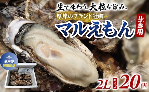 翌日配送 航空便 厚岸のブランド牡蠣 マルえもん 2Lサイズ 20個 [ 牡蠣 生食用 魚貝類 海鮮 海のミルク 国産 生食用殻付き牡蠣 まろやか クリーミー 牡蠣の酒蒸し 焼き牡蠣 マルえもん ]