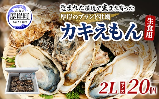 牡蠣 厚岸のブランド牡蠣 生食用 カキえもん 2Lサイズ 20個 [ 魚貝類 海鮮 海のミルク 国産 生食用殻付き牡蠣 まろやか クリーミー 食べやすい品種 海の香り 牡蠣の酒蒸し 焼き牡蠣 ]