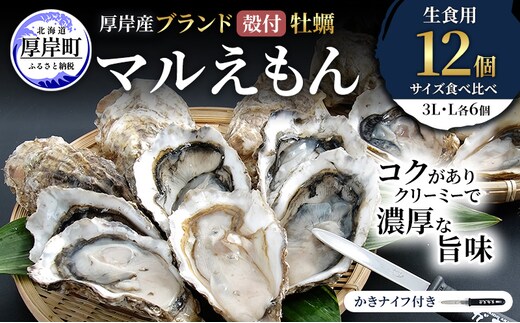 厚岸産 ブランド 殻付カキ マルえもん 生食用 サイズ食べ比べ 12個 (3L・L各6個)[ 魚貝類 生牡蠣 かき 牡蠣 カキ 生ガキ 食べ比べ ]