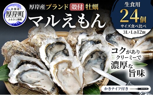 厚岸産 ブランド 殻付カキ マルえもん 生食用 サイズ食べ比べ 24個 (3L・L各12個)[ 魚貝類 生牡蠣 かき 牡蠣 カキ 生ガキ 食べ比べ ]
