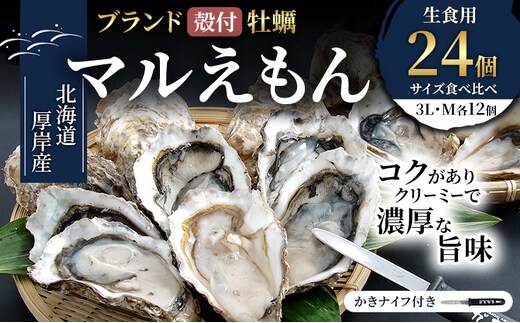厚岸産 ブランド 殻付カキ マルえもん 生食用 サイズ食べ比べ 24個 (3L・M各12個)[ 魚貝類 生牡蠣 かき 牡蠣 カキ 生ガキ 食べ比べ ]