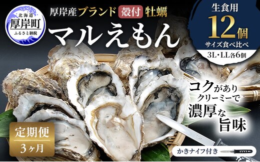 【 3ヵ月 定期便 】 厚岸産 ブランド 殻付カキ マルえもん 生食用 サイズ食べ比べ 12個 (3L・LL各6個)[ 魚貝類 生牡蠣 かき 牡蠣 カキ 生ガキ 食べ比べ ]