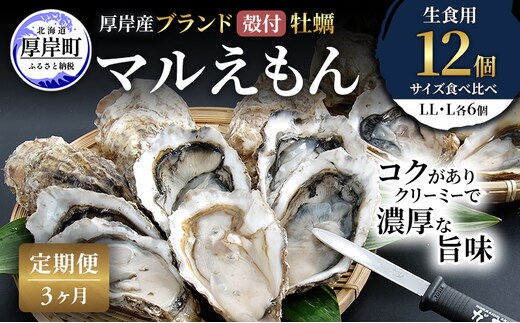 【 3ヵ月 定期便 】 厚岸産 ブランド 殻付カキ マルえもん 生食用 サイズ食べ比べ 12個 (LL・L各6個)[ 魚貝類 生牡蠣 かき 牡蠣 カキ 生ガキ 食べ比べ ]