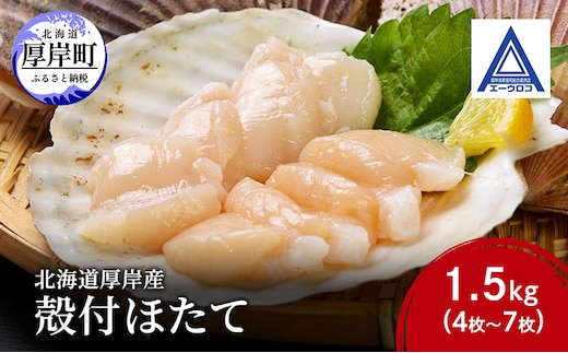 新鮮 北海道 厚岸産 殻付ほたて 1.5kg(4枚～7枚) [ ホタテ 帆立 ほたて 産地直送 貝 バーベキュー ]