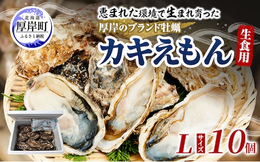 牡蠣 厚岸のブランド牡蠣 生食用 カキえもん Lサイズ 10個 [ 魚貝類 海鮮 海のミルク 国産 生食用殻付き牡蠣 まろやか クリーミー 食べやすい品種 海の香り 牡蠣の酒蒸し 焼き牡蠣 ]