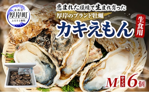 牡蠣 厚岸のブランド牡蠣 生食用 カキえもん Mサイズ 6個 [ 魚貝類 海鮮 海のミルク 国産 生食用殻付き牡蠣 まろやか クリーミー 食べやすい品種 海の香り 牡蠣の酒蒸し 焼き牡蠣 ]