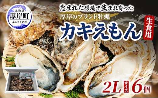 牡蠣 厚岸のブランド牡蠣 生食用 カキえもん 2Lサイズ 6個 [ 魚貝類 海鮮 海のミルク 国産 生食用殻付き牡蠣 まろやか クリーミー 食べやすい品種 海の香り 牡蠣の酒蒸し 焼き牡蠣 ]