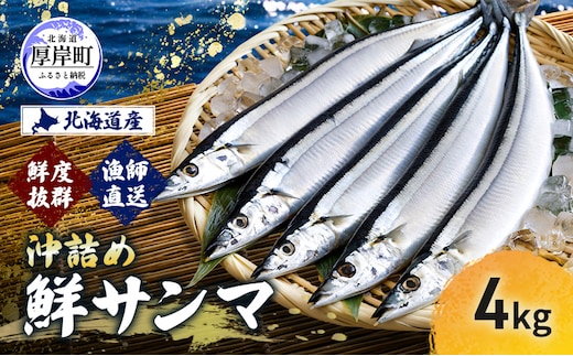 サンマ 鮮度抜群 北海道産 漁師直送 沖詰め 鮮サンマ 4kg 【豊伸協同組合】[ さんま 秋刀魚 鮮魚 焼き魚 刺身 新鮮 北海道産 生さんま 生サンマ ] 