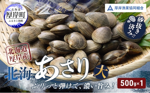 あさり【4月～6月発送】北海道 厚岸町産 天然 殻あさり(大) 500g×1 【厚岸漁業協同組合】[ アサリ 貝 味噌汁 酒蒸し 混ぜご飯 ] 