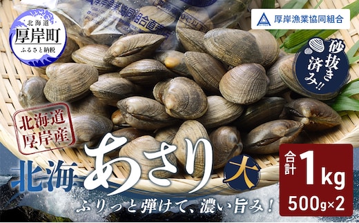 あさり【4月～6月発送】北海道 厚岸町産 天然 殻あさり(大) 500g×2 【厚岸漁業協同組合】[ アサリ 貝 味噌汁 酒蒸し 混ぜご飯 ] 