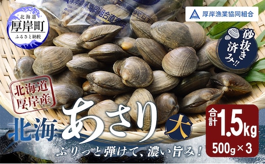 あさり【4月～6月発送】北海道 厚岸町産 天然 殻あさり(大) 500g×3 【厚岸漁業協同組合】[ アサリ 貝 味噌汁 酒蒸し 混ぜご飯 ] 