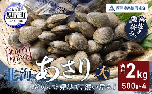 あさり【4月～6月発送】北海道 厚岸町産 天然 殻あさり(大) 500g×4 【厚岸漁業協同組合】[ アサリ 貝 味噌汁 酒蒸し 混ぜご飯 ] 