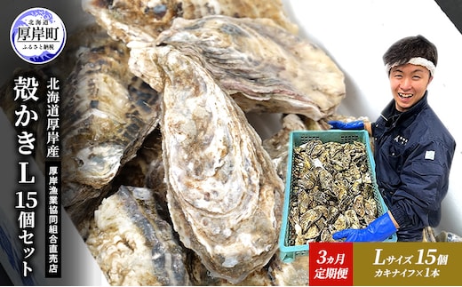 定期便 3ヵ月 牡蠣 殻付き 生食 L15個 北海道 厚岸産 マルえもん【厚岸漁業協同組合】カキナイフ付 [ カキ かき 生牡蠣 殻かき オイスター 冷蔵 ］