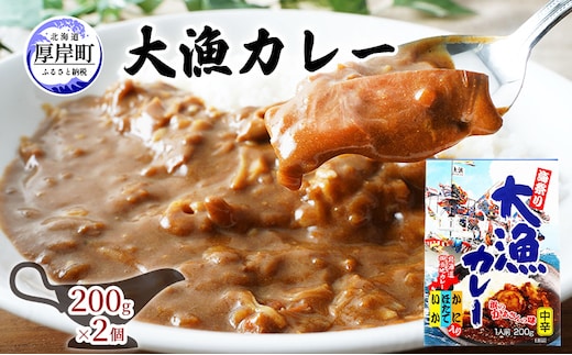 大漁カレー 200g×2個 カレー レトルト 加工食品 惣菜 レトルトカレー 洋食 海鮮カレー ランチ お昼ご飯 夕飯 夜食 手軽 簡単 ほたて いか かに 風味豊か 海の幸カレー 海の幸