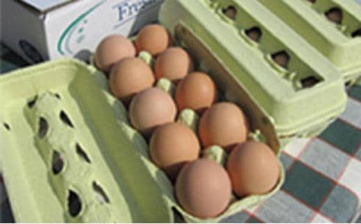 【ポロニ養鶏場】有精卵 計30個（10個×3パック）【 たまご ポロニ養鶏場 デザート ケーキ お菓子 標茶町 北海道 】