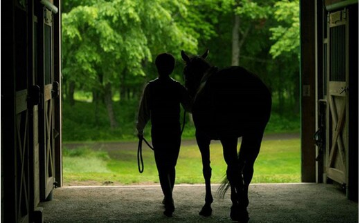 【ヘイゼルグラウスマナー】90分乗馬体験チケット1名様分（アドベンチャーコース）｜チケット 体験 乗馬 乗馬体験 北海道 標茶町 ヘイゼルグラウス 自然 アウトドア スポーツ レジャー リラックス アクティビティ