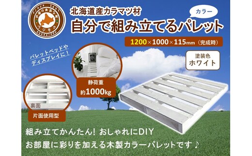 「自分で組み立てるカラーパレット」1200×1000×115（mm）片面使用型