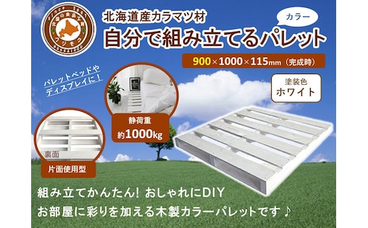 「自分で組み立てるカラーパレット」900×1000×115（mm）片面使用型