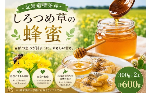 ＜北海道標茶産＞しろつめ草の蜂蜜 300g×2本 計600g