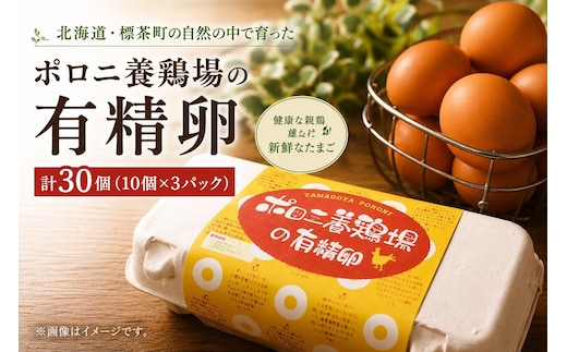 【ポロニ養鶏場】有精卵 計30個（10個×3パック）【 たまご ポロニ養鶏場 デザート ケーキ お菓子 標茶町 北海道 】