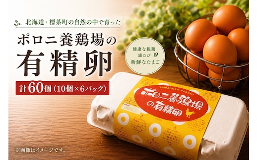 【ポロニ養鶏場】有精卵 計60個（10個×6パック）【 たまご ポロニ養鶏場 デザート ケーキ お菓子 標茶町 北海道 】