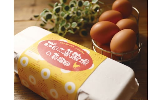 【6カ月定期便】有精卵 計60個（10個×6パック）【 たまご ポロニ養鶏場 デザート ケーキ お菓子 標茶町 北海道 】