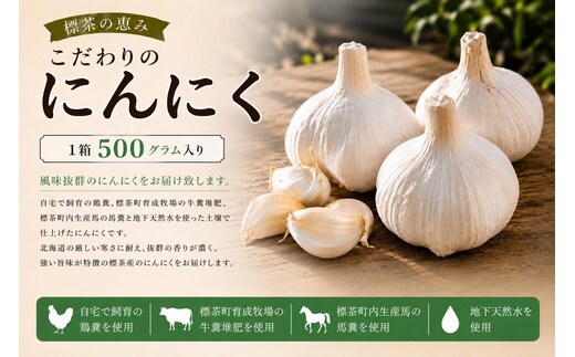 【2026年9月発送】標茶の恵み こだわりのにんにく １箱500グラム入り（Mサイズ約８～１０個）