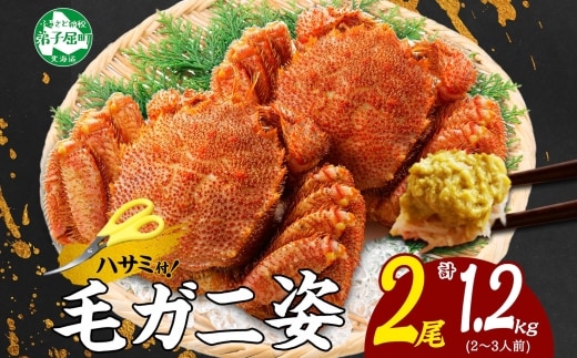 3335. 毛蟹 2尾 計1.2kg前後 食べ方ガイド・専用ハサミ付 カニ かに 蟹 海鮮 ボイル 送料無料 北海道 弟子屈町