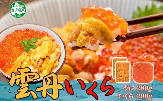 【年内配送 12月14日まで受付】3594. ウニ チリ産 冷凍 いくら 二色丼 うに イクラ 海鮮 期間限定 数量限定 送料無料 北海道 弟子屈町 within2025 