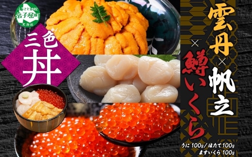 【年内配送 12月10日まで受付】3627. うに 100g 鱒いくら醤油漬け 100g ホタテ 100g セット ウニ チリ産 冷凍 雲丹 いくら イクラ ますいくら ほたて 帆立 海鮮 海鮮丼 三色丼 送料無料 北海道 弟子屈町
