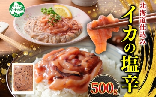 3163. いかの塩辛 500g いか イカ 烏賊 おつまみ 魚介 海鮮 送料無料 北海道 弟子屈町