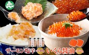 3386. サーモン塩辛 120g いくら醤油漬け 80g 各2個 小分け サーモン 鮭 さけ サケ いくら イクラ 漬け 醤油漬け おつまみ 海鮮 ご飯のお供 数量限定 送料無料 北海道 弟子屈町