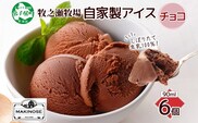 3220. 牧之瀬牧場 自家製アイス チョコ 90ml 6個 アイス 氷菓子 チョコ味 チョコレート フレーバー 牧場 手作り セット おやつ デザート スイーツ 冷凍 ギフト 送料無料 北海道 弟子屈町