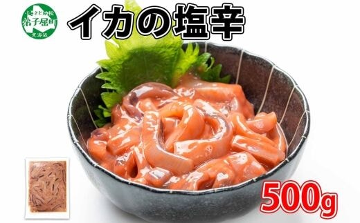 3163. いかの塩辛 500g いか イカ 烏賊 おつまみ 魚介 海鮮 送料無料 北海道 弟子屈町
