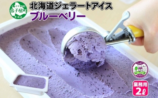 604.アイスクリーム ブルーベリー ジェラート ベリー 業務用 2リットル 2L アイス 大容量 手作り 北海道 弟子屈町