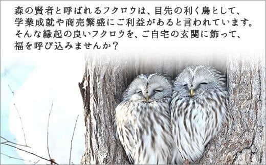 518.世界に一つだけの木製 名入れ 表札 ふくろう 木彫り 民芸品 北海道