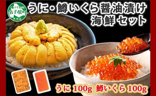 1958. うに 100g 鱒いくら醤油漬け 100g セット ウニ チリ産 冷凍 雲丹