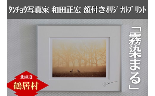 北海道鶴居村 タンチョウ写真家 和田正宏 額付きオリジナルプリント「霧染まる」(サイン入り)