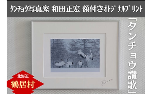 北海道鶴居村 タンチョウ写真家 和田正宏 額付きオリジナルプリント「タンチョウ讃歌」(サイン入り)