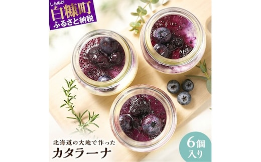 カタラーナ【6個入り】