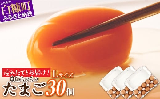 たかはしさんの新鮮卵【Lサイズ30個（10個×3パック）】