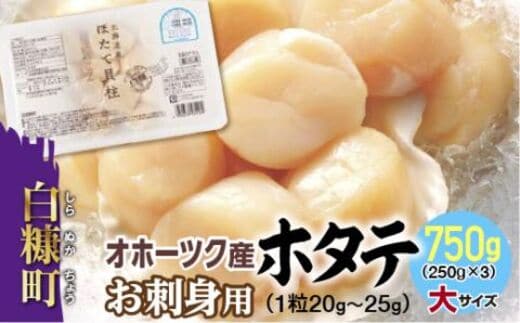 オホーツク産お刺身用ホタテ大サイズ（3S）【750g（250g×3パック）】